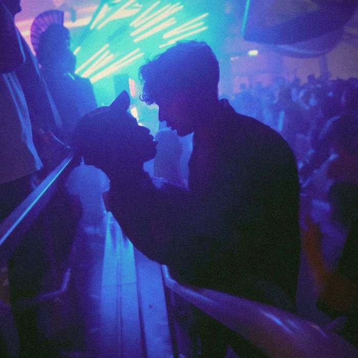 Sous les néons d’une soirée à thème Doctor Love à Paris